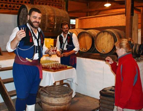 Wine Tasting - Tours Crete