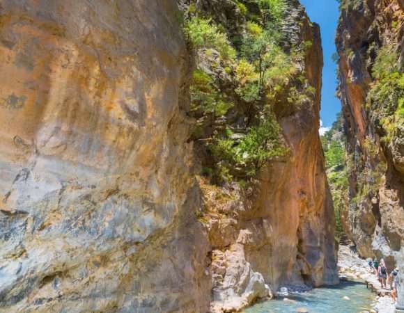 Samaria Gorge Tour