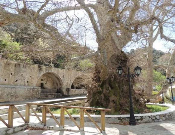 Jeep Safari to Lassithi Plateau