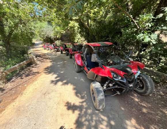 Buggy Safari Tour