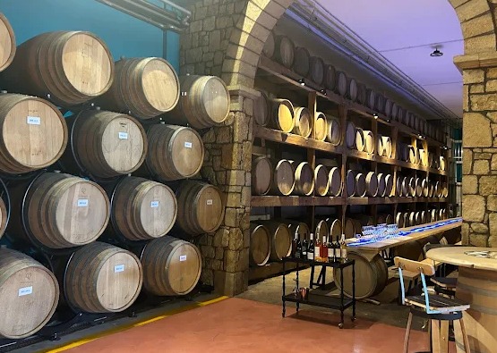 Authentic Crete Tour - Wine Tasting
